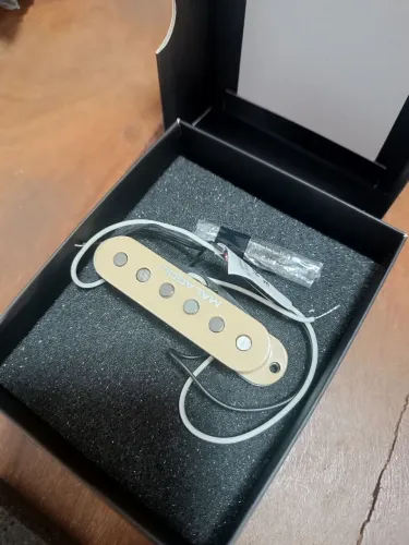 Malagoli Alnico Custon Blues 