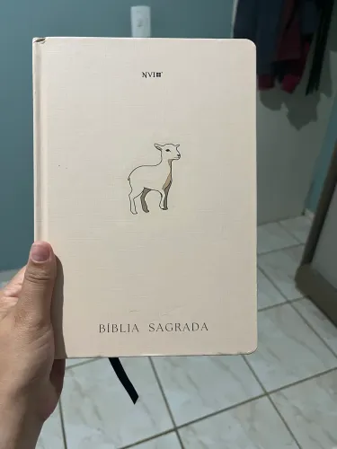 Vendo Bíblia