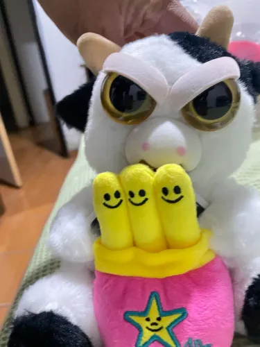 Feyts pets