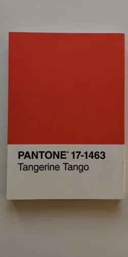 Caderno de Notas Notebook Pantone 17-1463 - NOVO