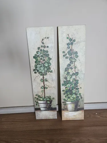 2 quadros de planta