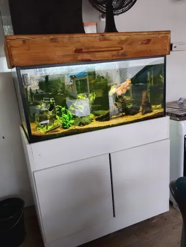 Aquário completo 200 l