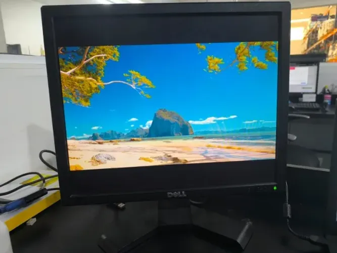 Monitor DELL