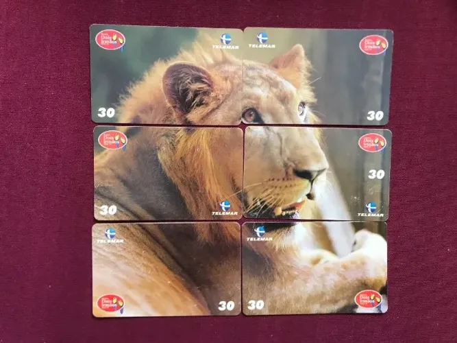 6 Cartões Telefônicos Série Leão