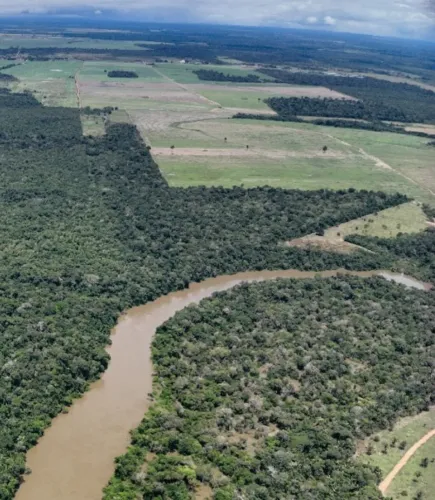 89 hectares Candeias do Jamari