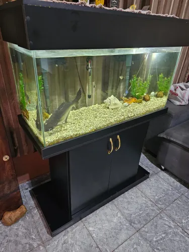 Aquário completo à venda - pronto para uso