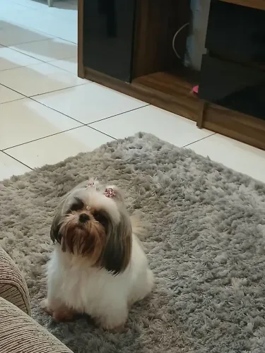 Maya tá sta a procura de um namorado 