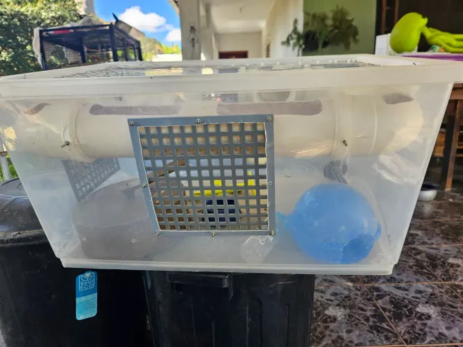 Caixa para hamster 60l