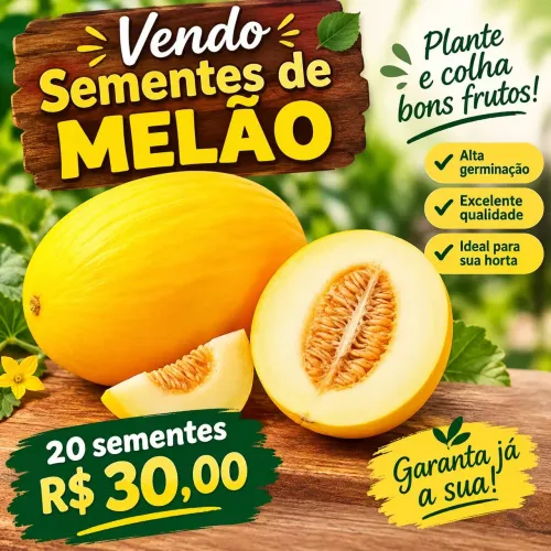 Semente de melão