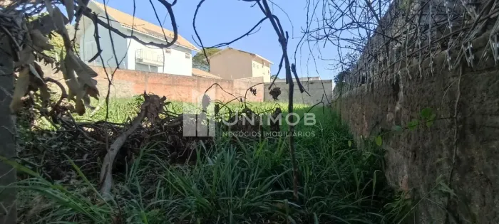terreno - Nova Campinas - Campinas