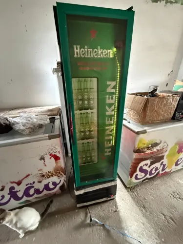 Mini cervejeiro heineken com digital termostato
