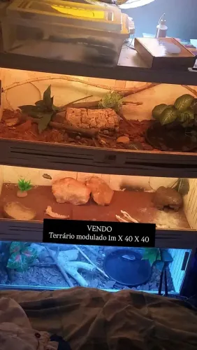 TERRÁRIO MODULADO FAÇO ROLO