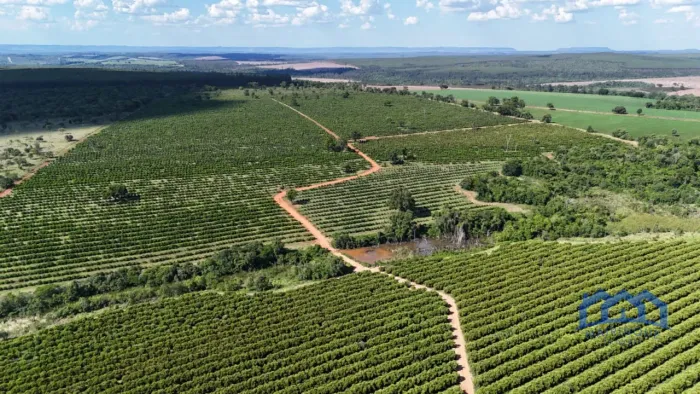 Sítio/Fazenda à Venda, 170 alqueires por R$ 51.000.000 Cód. ch2672