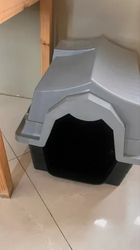 Casa cachorro