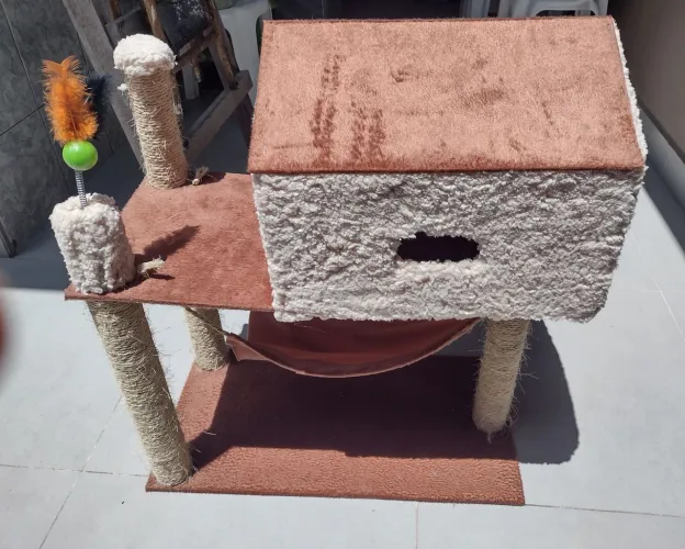 Casinha de gato 