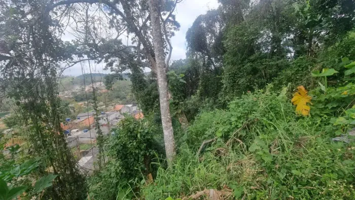 Excelente terreno a venda.