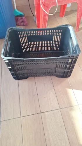 Caixa plástica agrícola ventilada