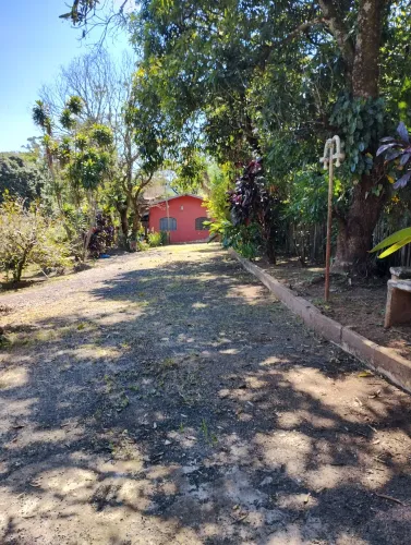 Chacrinha em Limeira.