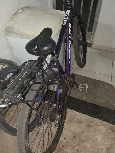 Bicicleta absolute Nero 5