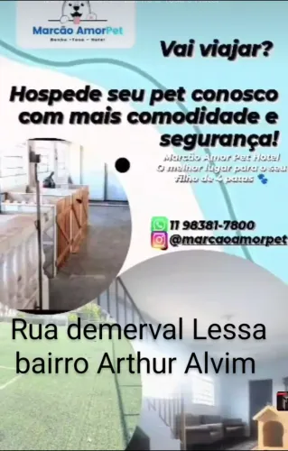 Hotel pet cães gatos animais no geral 50 o dia  