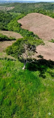 Fazenda em Siriri