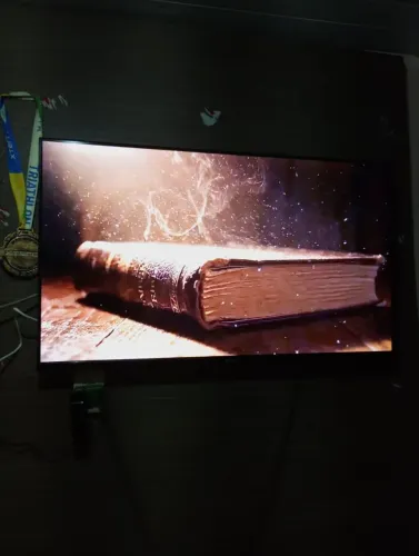 Uma geladeira e uma tv de 43 polegadas.