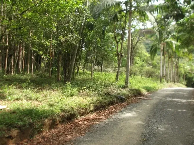 Terreno, Área Industrial ou Comercial com 3.500m²