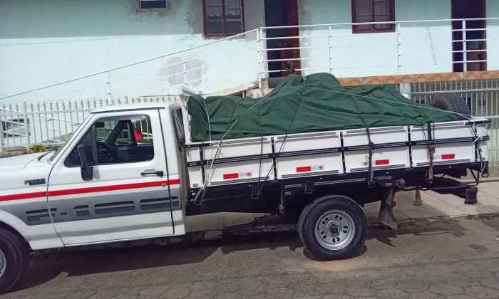 Ford F-1000 Super 3.6 / Super Serie 3.6 (álcool) 1994