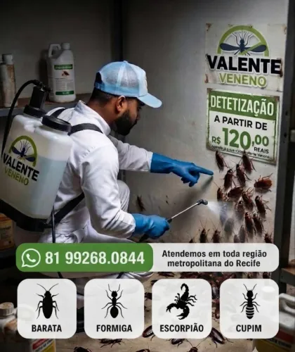 Dedetização