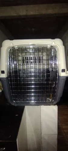 Caixa de Transporte para Cães e Gatos
