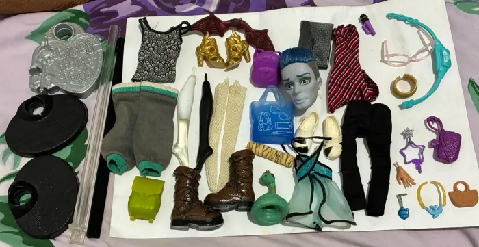 Lote Monster High acessórios 