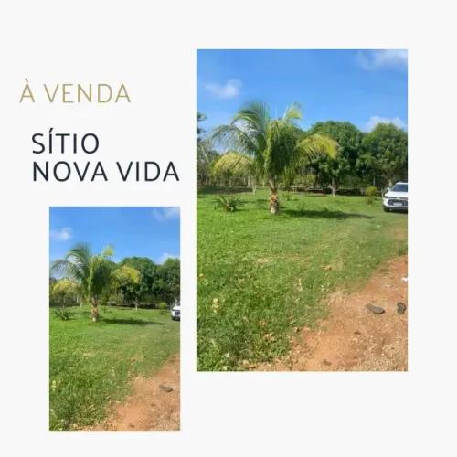 OPORTUNIDADE: Sítio Nova Vida (3 Hectares) - R$ 300 Mil