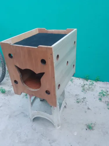 Casinha para gato 