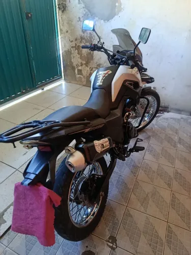 Shi 175  Ano 2024 