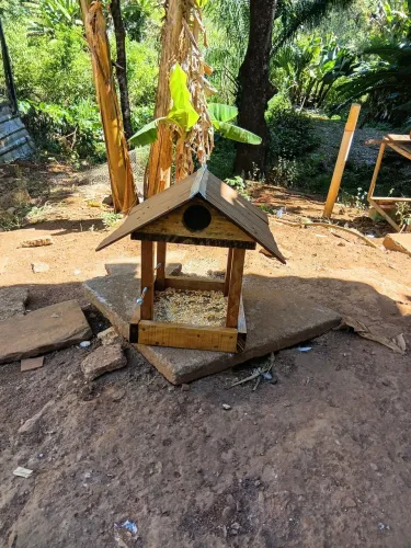 Casinha comedouro para passarem