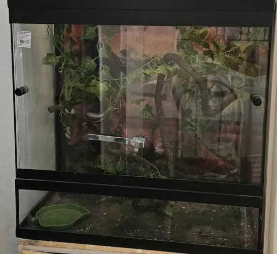 Terrário