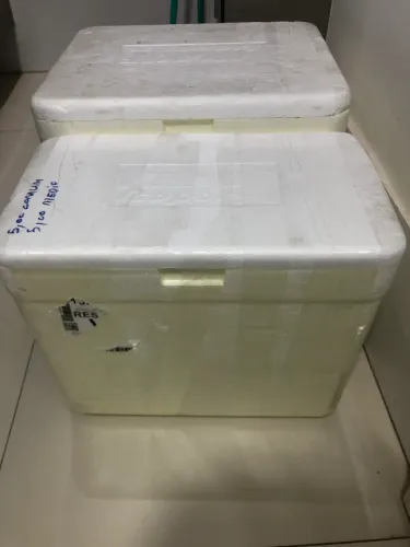 Caixa térmica de Isopor