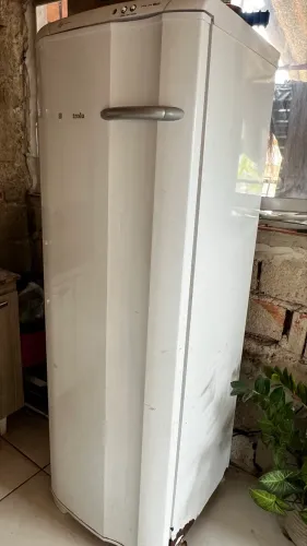 Frizer vertical