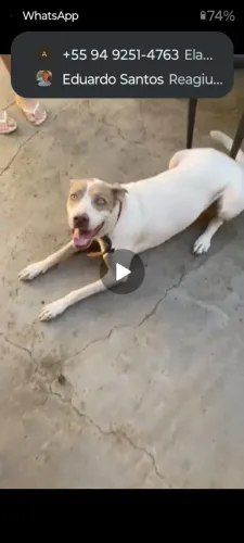 doação