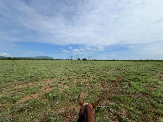 FAZENDA PLANA À VENDA  TOCANTINS | 3.640 ha de Alta Produtividade