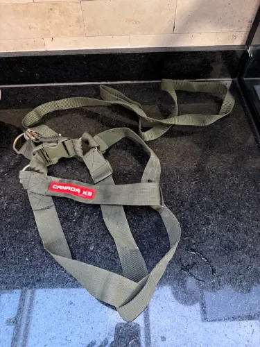 Vendo Conjunto Peitoral com Regulagem + Guia - K9