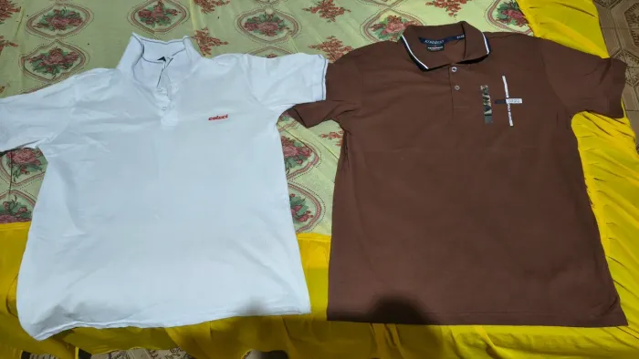Camisa gola Pollo