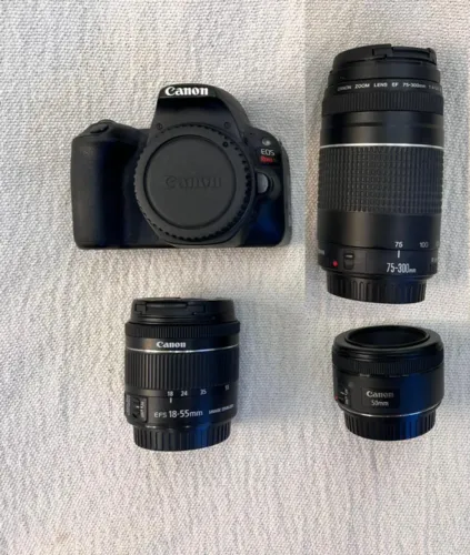 Canon EOS Rebel SL2 + 50mm / 18-55mm / 75-300mm