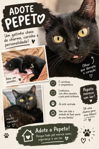 ADOÇÃO RESPONSÁVEL ? Amora Cristina ?<br>