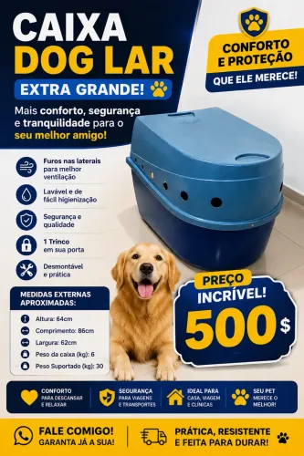 Caixa dog Cachorro