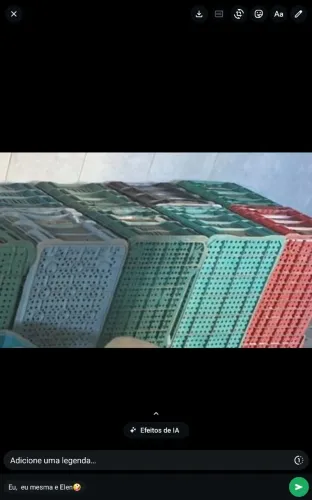 Caixas plásticas PN60 para hortifruti/organização/indústria usadas