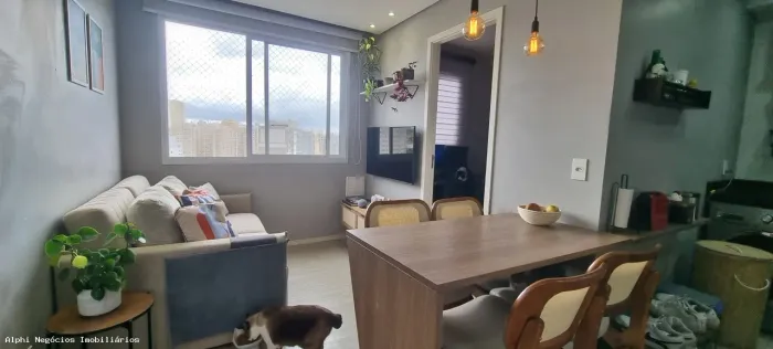 Apartamento para Locação em São Paulo, Cambuci, 2 dormitórios, 1 banheiro, 1 vaga
