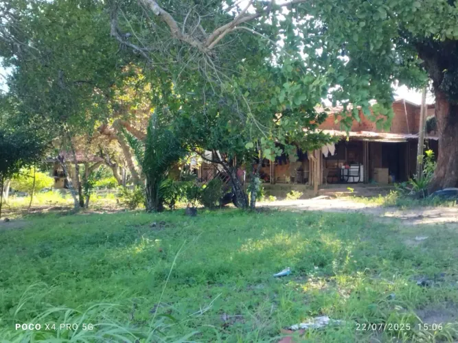 Granja com 05 hectares beira da PB018.