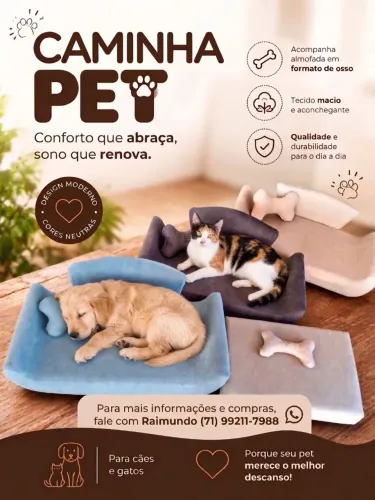 Conforto e Segurança pra o seu Pet