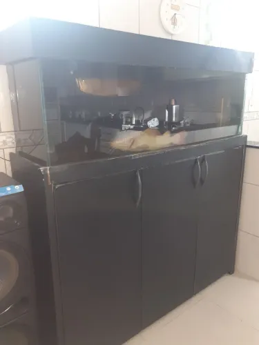 Aquário 300 litros completo.